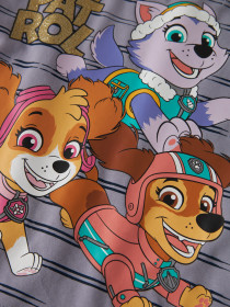 NAME IT Paw Patrol Bluse Jannet Lavender Gray